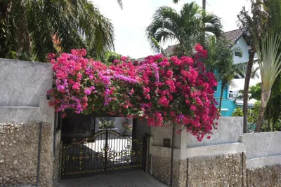 Baan Heaven / Patong Beach Pool Villa Sleeps up to 15 – Foto 13